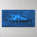 Search for barracuda posters Animals