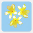 Search for yellow frangipani stickers Flower
