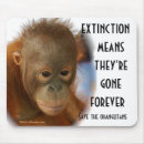 Search for species electronics Orangutan