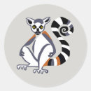 Search for ring tailed lemur stickers Primate