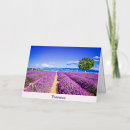Search for provence cards Lavender