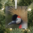 Search for crane christmas tree decorations Crowned