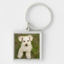 Search for looking out key rings Looking at camera