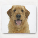 Search for panting mousepads Vertical