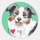Search for mini american shepherd stickers Miniature australian shepherd