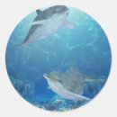 Search for happy dolphin stickers Blue