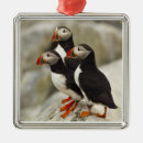 Search for puffin christmas tree decorations Machias seal island