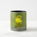 Search for orioles mugs Bird