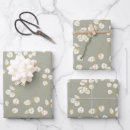Search for leaves wrapping paper Sage green