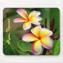 Search for maui mousepads Hawaii