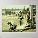 Search for early 1900s posters Century