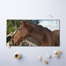 Search for bondeli electronics Animal