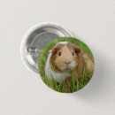Search for grass green badges Cute