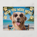 Search for tropic designs postcards Paradise