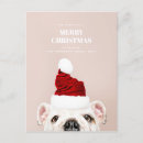 Search for doggie christmas cards Animal