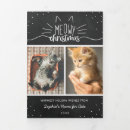 Search for cat rescue christmas cards Cats