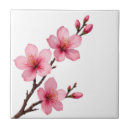 Search for sakura tiles Botanical