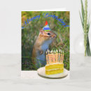Search for funny squirrel pictures cards Rodent