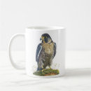 Search for falconer mugs Peregrine