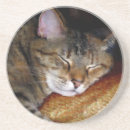 Search for feline lover coasters Animals