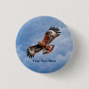 Search for soar badges Nature