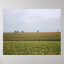 Search for midwest posters Field