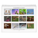 Search for 2016 calendars Wall