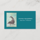 Search for dolphin business cards Water