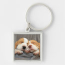 Search for sleepy the key rings Dog