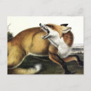 Search for trap postcards Illustration