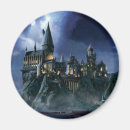 Search for wizardry magnets Castle