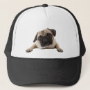 Search for pet pug hats Animal