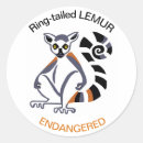 Search for ring tailed lemur stickers Primate
