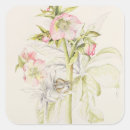 Search for hellebore stickers Botanical