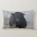 Search for western cushions Black