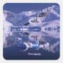 Search for paradise bay stickers Coast
