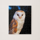 Search for barn owl puzzles Nature