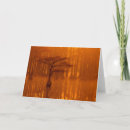 Search for agua cards Danita delimont
