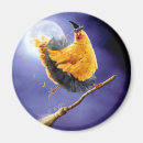 Search for broomstick magnets Cute