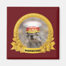 Search for rodent magnets Fun