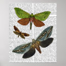 Search for flies art Animals