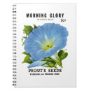 Search for morning glory notebooks Garden