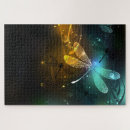 Search for luminous puzzles Night