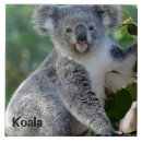 Search for cuddly tiles Wildlife