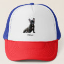 Search for puppy hats Pet