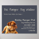 Search for trainers posters Dog