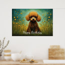 Search for standard poodle posters Miniature