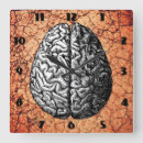 Search for brain clocks Human