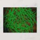 Search for pneumonia postcards Abundance