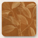 Search for botany barware Floral